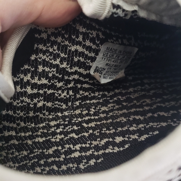 Turtle dove - Picture 4 of 6